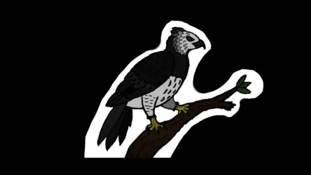 paleopedia: carcharodontosaurus ( con un invitado especial ). смотреть онлайн