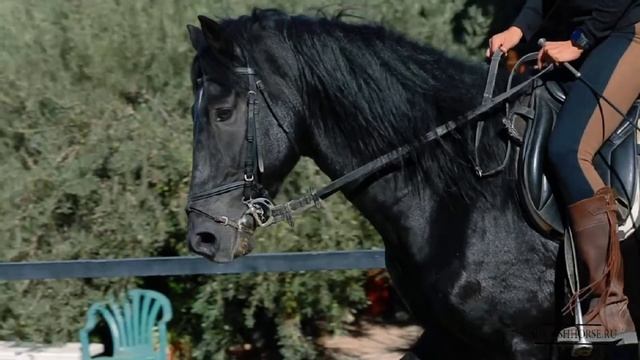 Они у нас красивые:) смотреть онлайн