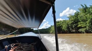 4973421-hd_1920_1080_25fps