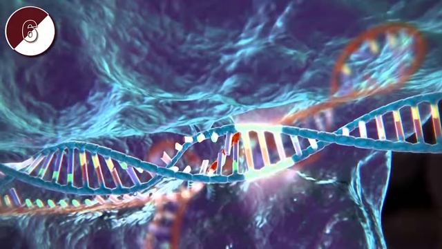 10 НАНОТЕХНОЛОГИЙ БУДУЩЕГО Технологии будущего смотреть онлайн