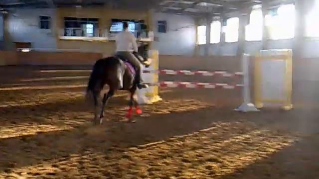 07122012 тренировка. конкур. Астана.