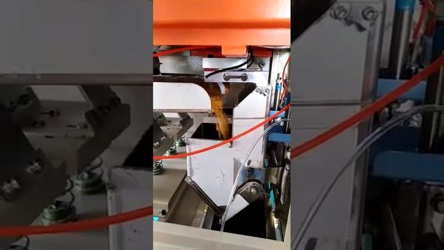 TWO HEAD LINEAR WEIGHER CONTROLLER FIELD WORKING VIDEO смотреть онлайн