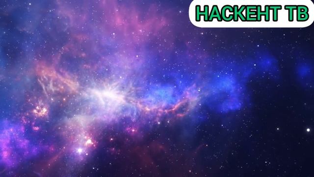 ТУЛКИ-ДУББУЦАРЛА БАЗ смотреть онлайн