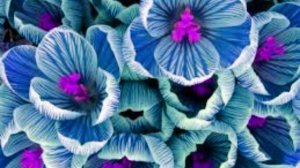 Есть узлы, которых не развяжешь