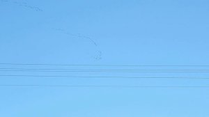 Гуси летят 2