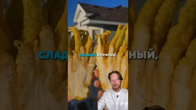 Необычные фрукты, о которых вы никогда не слышали #спорт #рецепт #зож #похудение #пп #нутрициолог