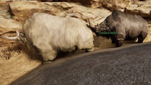 Mortal Online 2 Artic Molva