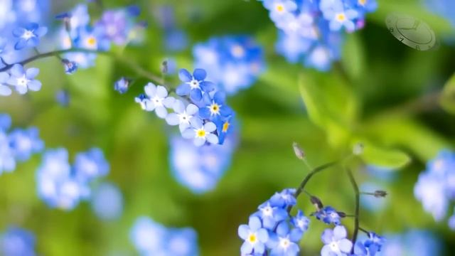 Талантливый хирург построил карьеру спасая больших людей. Но когда на стол к нему попала шишка из.. смотреть онлайн