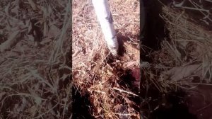 первоапрельский коп металла