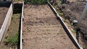 ЛЕТИМ В МОСКВУ! ЧТО СКАЗАЛ ВРАЧ// ЛЕБЕДИ// САЖАЮ РАССАДУ// ПЕРЕДЕЛЫВАЕМ НОВЫЙ ЗАБОР