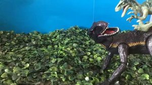 Битва индораптора и велоцираптора / Fight indoraptor and velociraptor