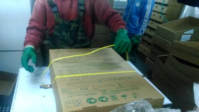 Kepiting Snaw Crab, Shans 103, Russia || смотреть онлайн