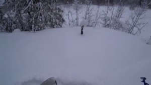 Поставил жерлицы и сразу поклёвки. Щука попалась и не влезает в лунку 2 серия