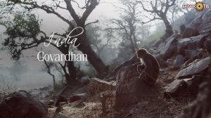 Там, на неведомых дорожках - Шри Говардхан.