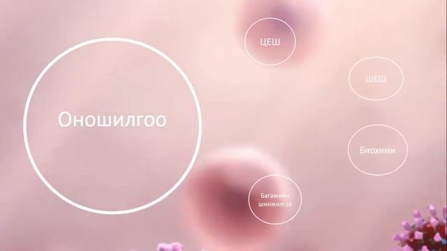 Бөөрний цочмог гломерулонефрит смотреть онлайн