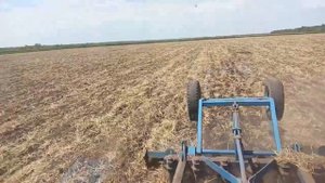 Трактор МТЗ 892.2 Полевые работы. Сезон 2020