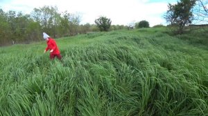 Алина с Пэксом на лужайке 10 мая