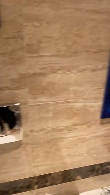 Марса Алам (Египет)Номер отеля HILTON 5 звёзд смотреть онлайн