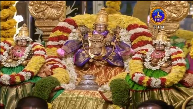 Sri Govindarajaswamy Vari Unjal Seva || Tirupathi || 20-11-2021 || SVBC TTD смотреть онлайн