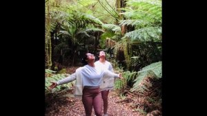 Great Otway National Park