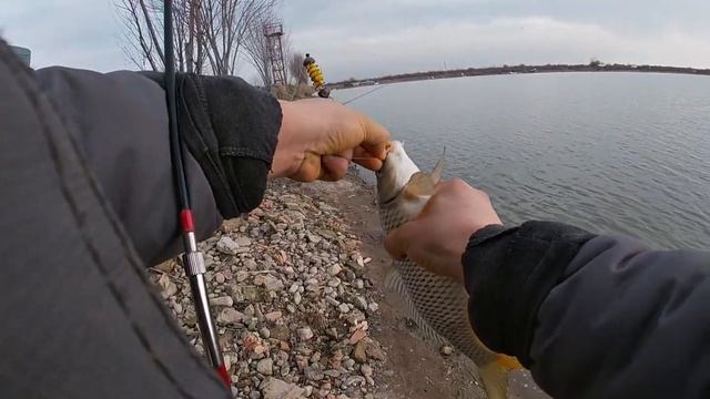 Bunaqa baliq ovi odamlarga orzu FAQAT SAZAN 1 soatda 20 kilodan oshiq Baliq BIZGA YETADI👍👍#ribalka смотреть онлайн