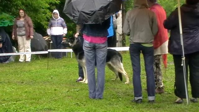 БЛ Боинг смотреть онлайн