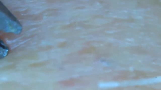 [plucking facial hair]white smelt fish? смотреть онлайн