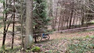 Велогонка МТБ "Потертое седло", 10-11-2024