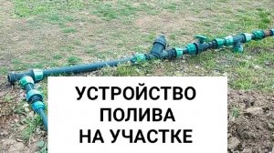 Устройство полива на моём участке