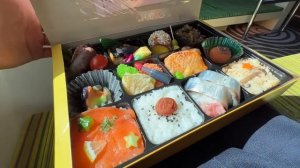 Поездка на новом и самом дешевом спальном вагоне японского поезда West Express Ginga