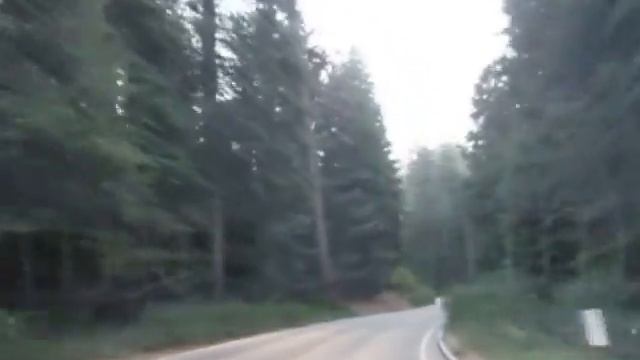 Sequoia Generals Hwy 2016 Looking for BIGFOOT wishon