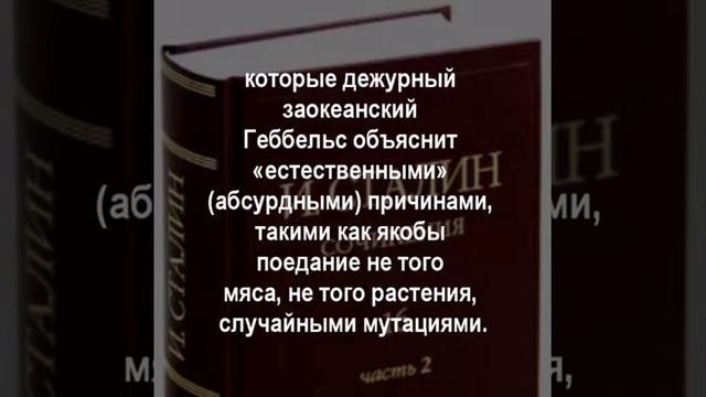 Цитаты Сталина про наше время.