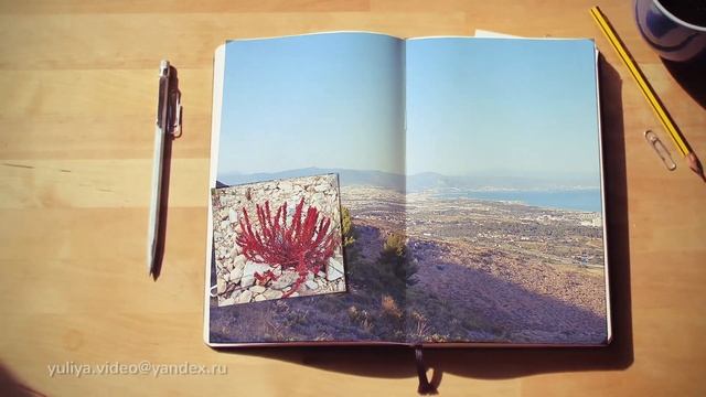 Фотоальбом.  Настольная книга.