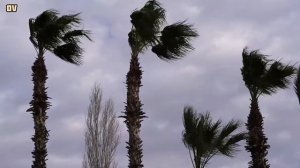 Shamol ovozi 15 daqiqa/15 minutes of wind sound/15分の風音/15 минут звук ветра/shamol ovozi