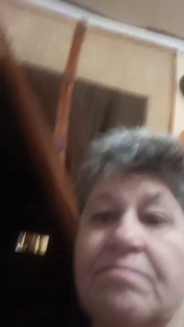 сенсация коты живут семьёй смотреть онлайн