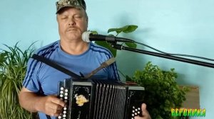 ТЫ ВЕРНЕШЬСЯ -сл Лилии Папушиной музыка исполняет Иван Кондратьев  гармонь
