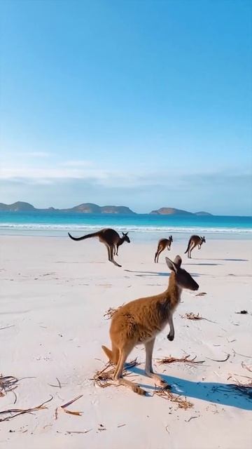 ))-world79.spcs.bio смотреть онлайн