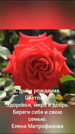 С днём рождения,Светлана.