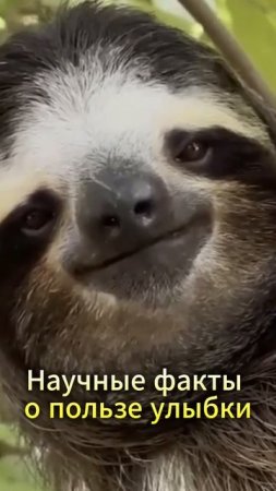 Хотите узнать, почему улыбка — это настоящий инструмент природной терапии с научной точки зрения?