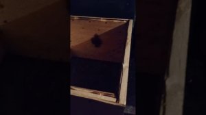 каркасный 12 рамок.