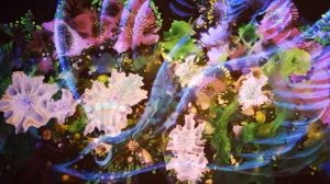 Юрмала галерея Inner Light художник Виталий Ермолаев