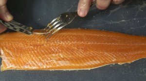 Солим форель