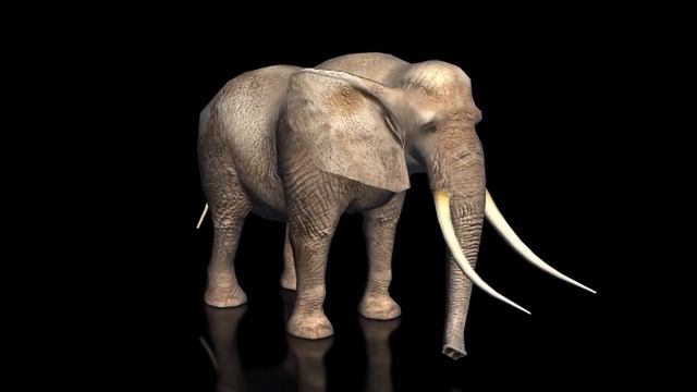 A Demonstration of the ELEPHANT Character for iClone by PROTOFACTOR смотреть онлайн