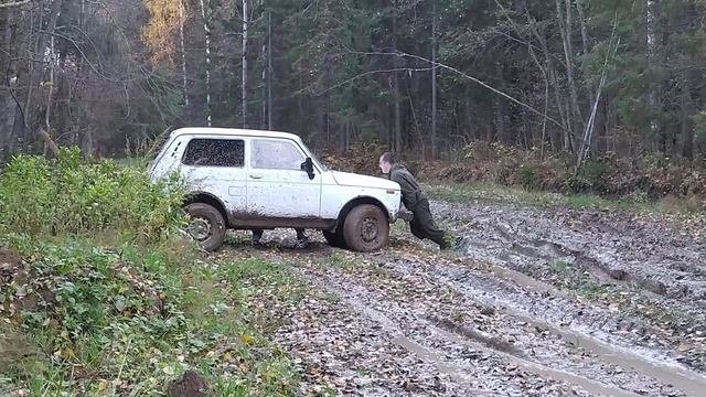 Псих на Ниве