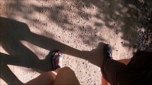 4883732-uhd_2560_1440_30fps