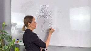 Этапы ЭКО / Подробнее про каждый этап ЭКО