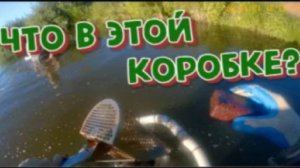 Ювелирка？ Выкопал странную коробочку.Поиск золота с XP ORX