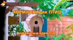 Кормушка для птиц своими руками как сделать пошагово  (158) 🪚🪛🔨 Идеи для дачи и сада❣️