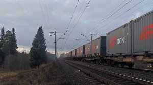 СИНИИ УШКИ ЕЩЁ ЖИВЫ В СВОЁМ РОДНОМ ОКРАСЕ  - 2ТЭ116У-0054