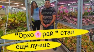 Новая теплица "Орхорай" ОРХИДЕИ МЕЧТЫ